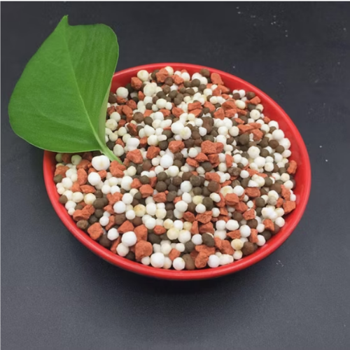 NPK Fertilizer, Key Solution for Modern Agriculture